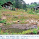 통나무향기 이미지