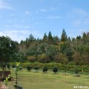 카멜리아힐 이미지