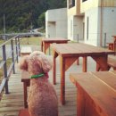 무주 모모펜션 이미지