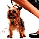 동물놀이터 화장실 이미지