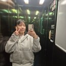 노랑풍선 이탈리아 7박9일 패키지 여행 4일차 피렌체 베키오다리 두오모성당 우피치미술관