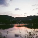 숲속에 안뜰 이미지