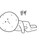 화인태권도 이미지