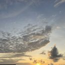 위드오션2 이미지