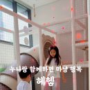 엘스키즈 이미지