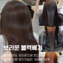 지니헤나샵 | 블랙했던 머리 봄맞이 브라운 염색 가는법 (염색으로만 유지 가능)