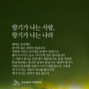 묘한향기 이미지