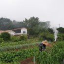 지리산해달원 이미지