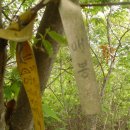 지방마을회관 이미지