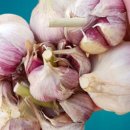 만재농장 이미지