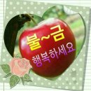 코&태 이미지
