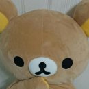 알바