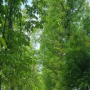 천년카페 이미지