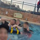 캐리비안 | [용인 처인구 포곡읍] 내돈내산 겨울 수영장 카피바라 베이 겨울 캐리비안 베이 후기, 꿀팁