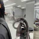 수원-0245 | 수원역미용실 추천 헤어다이아 수원역 타임점 긴머리 모발 클리닉 받고 온 후기✨