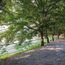 강변오토캠핑장1 이미지