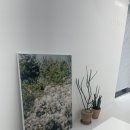 결에비앙 이미지