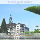 윤성약국 | 카메론 하일랜드 여행 추천! 아빌리온 카메론 하일랜드 호텔 후기