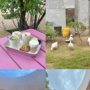 조향농원 이미지