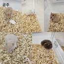 패러그린샵 명지점 이미지