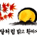 2024年9月17日화요 웰빙 댄스 동호회 추석명절로 쉽니다 이미지