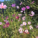 배우물농장 이미지