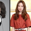 다이스필름(주) SBS연예뉴스