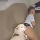 개편한 세상 이미지