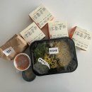 간단하게 맛있는 한 끼 해결 가능한 강다짐 삼각김밥 울산 달동점 후기와 메뉴 추천