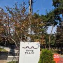 한옥마을도서관 화장실 | 서울 한옥 도서관 여행｜원당마을한옥도서관 후기 + 주차팁 + 방학동 은행나무