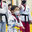 국가대표 연세태권도장 이미지