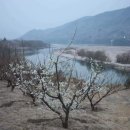 김박사약국 이미지