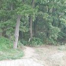 중앙시장(1208) 이미지