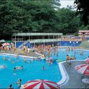 파인리조트 이미지