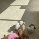 눈보뛰 프리미엄 이미지