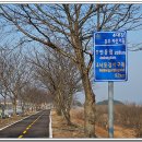 남지자전거길 이미지