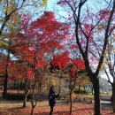 강원도립화목원 | . 강원도 춘천 (의림지 둘레길/강원도립화목원) 삼악산 케이블카에 대한 솔직한 후기