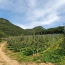 덕산기 농장 이미지