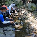 불당골세천 이미지