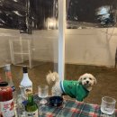 용전4로3길 이미지