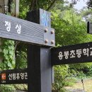 용봉초등학교옆 Daum카페