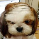 흠 이미지