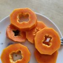 오행팜연수원 이미지