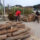 홍천군산림조합 이미지