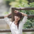 아리아리 - 서산시 | 아리아리