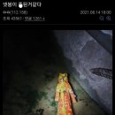 물건낚시
