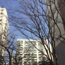 강남토지보상행정사사무소 이미지