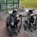 지산리조트(주) | 지산리조트 퍼블릭 나인홀 방문 후기