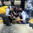 대포동주민센터 이미지