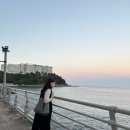 품이네 애견방 | Sokcho with Mom 🏞️